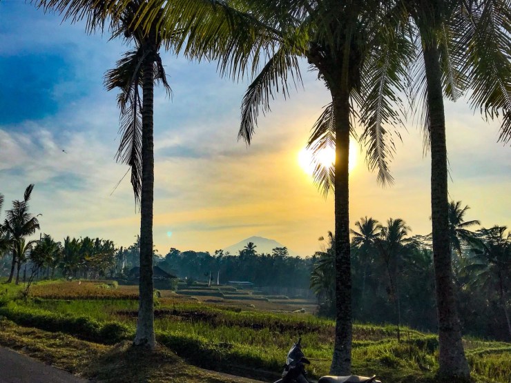 writing-retreat-bali