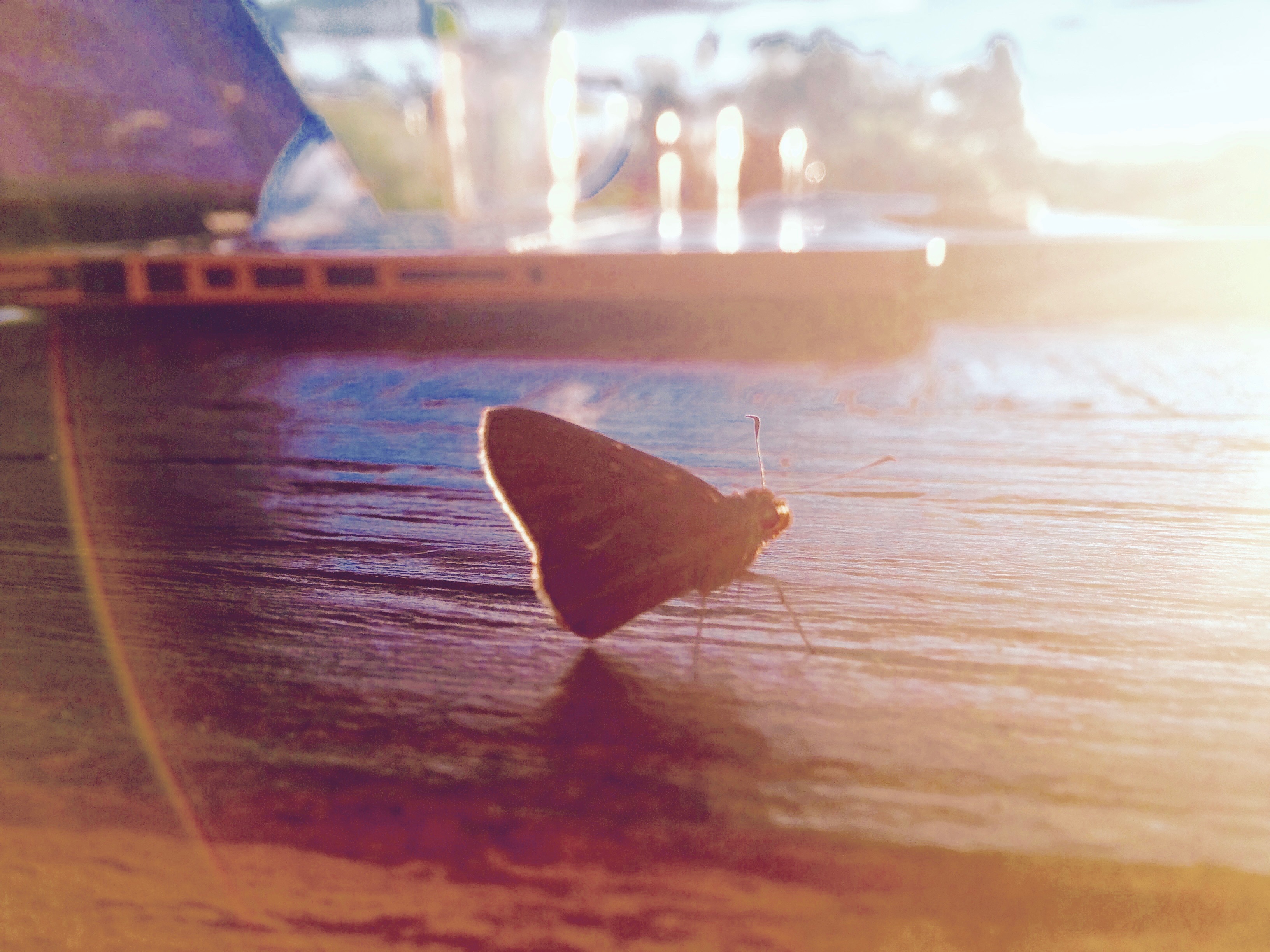 Writing Retreat Bali